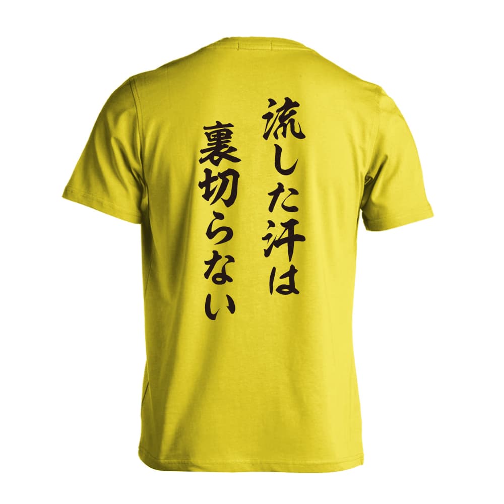 背面デザイン