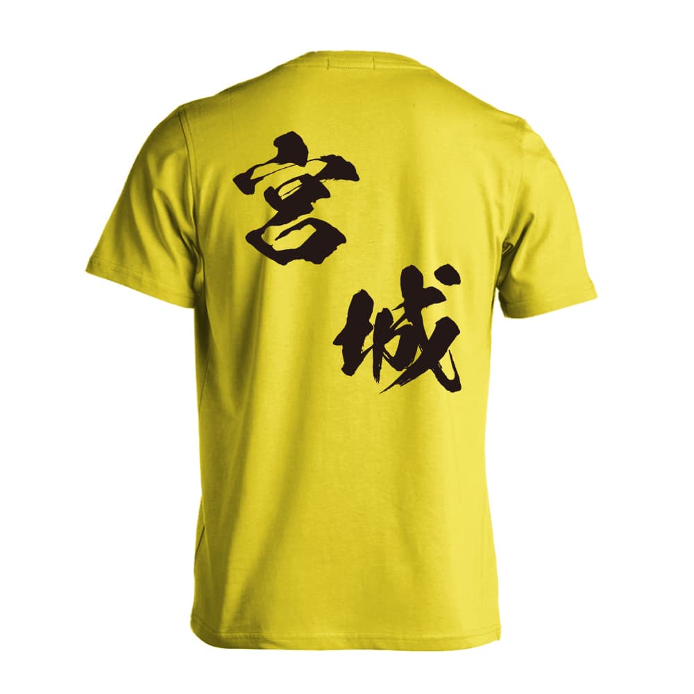 背面デザイン