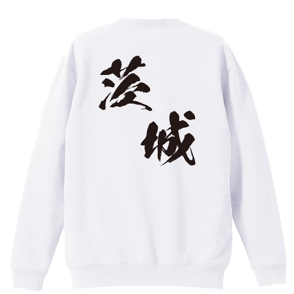 背面デザイン