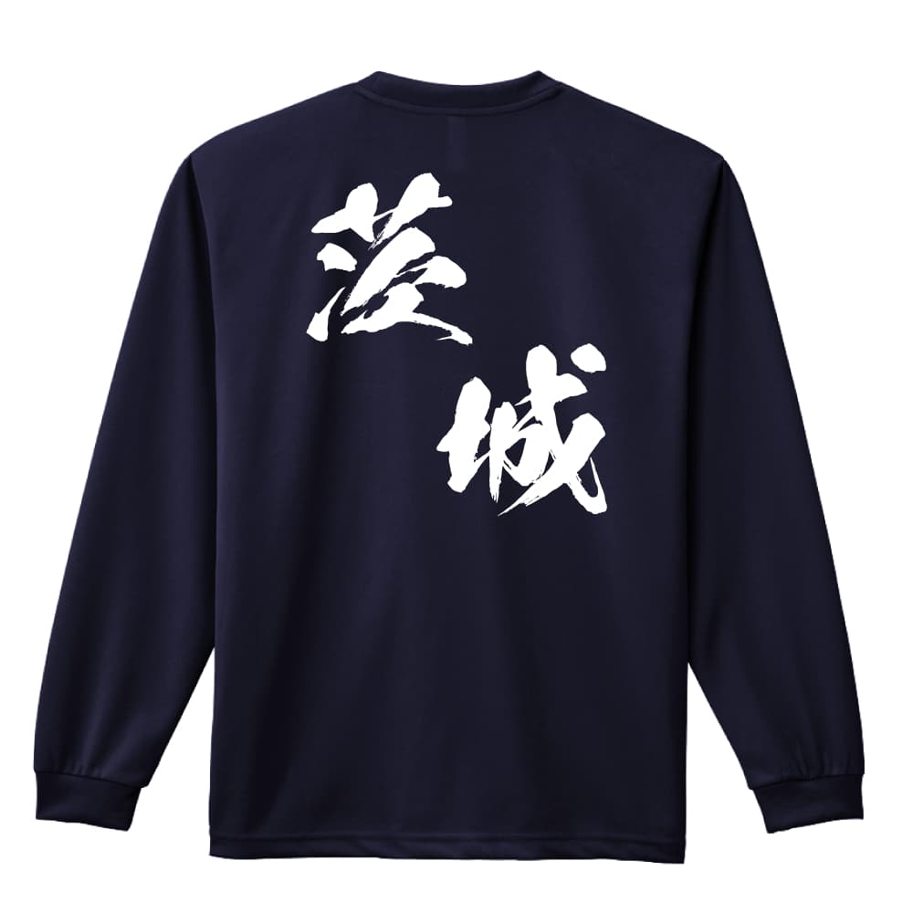背面デザイン