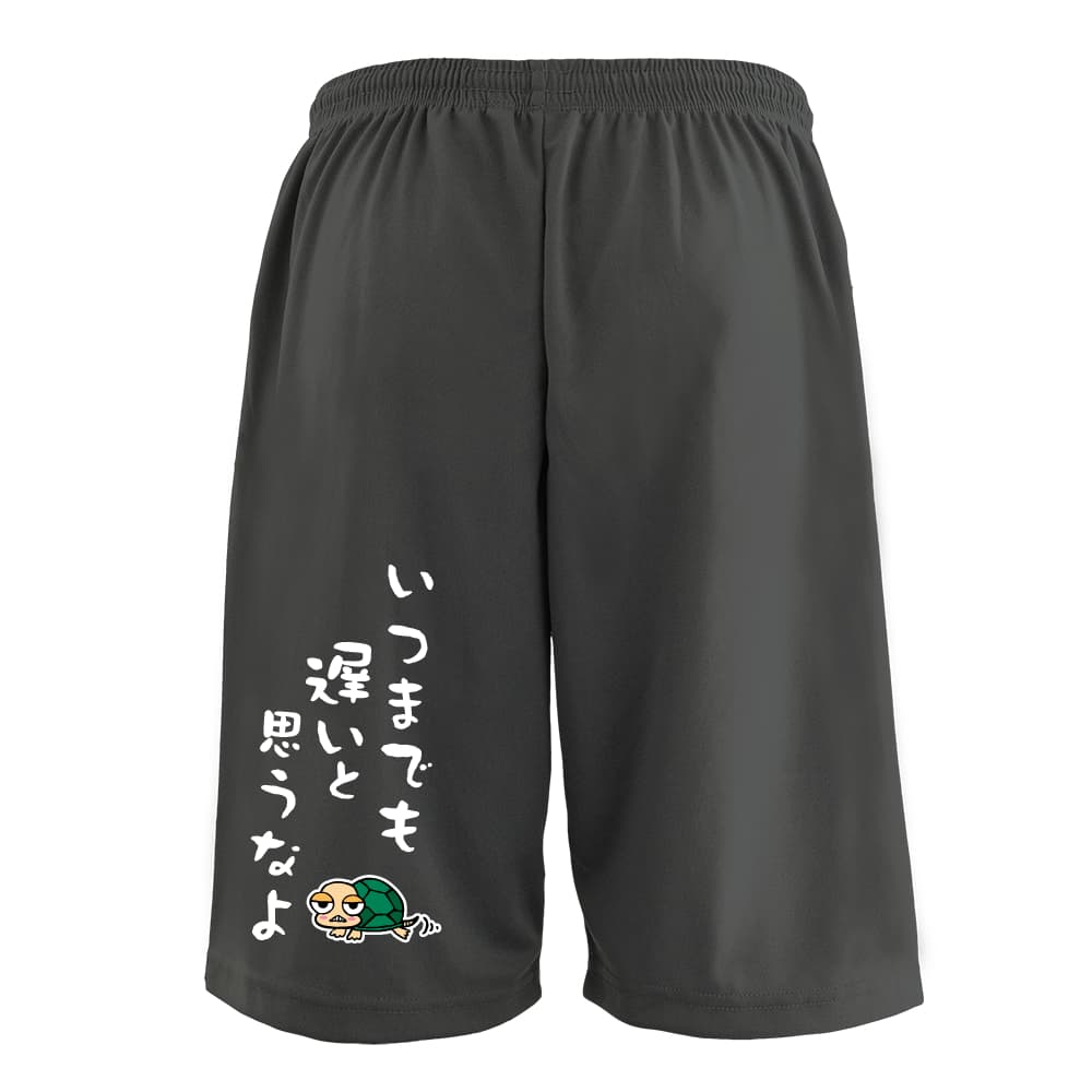 背面デザイン