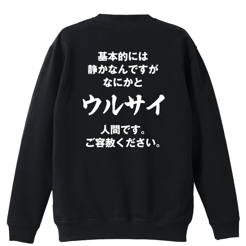 背面デザイン