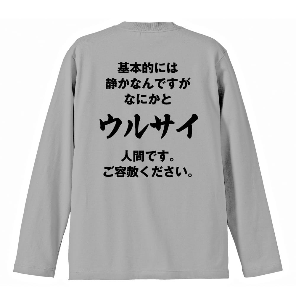 背面デザイン