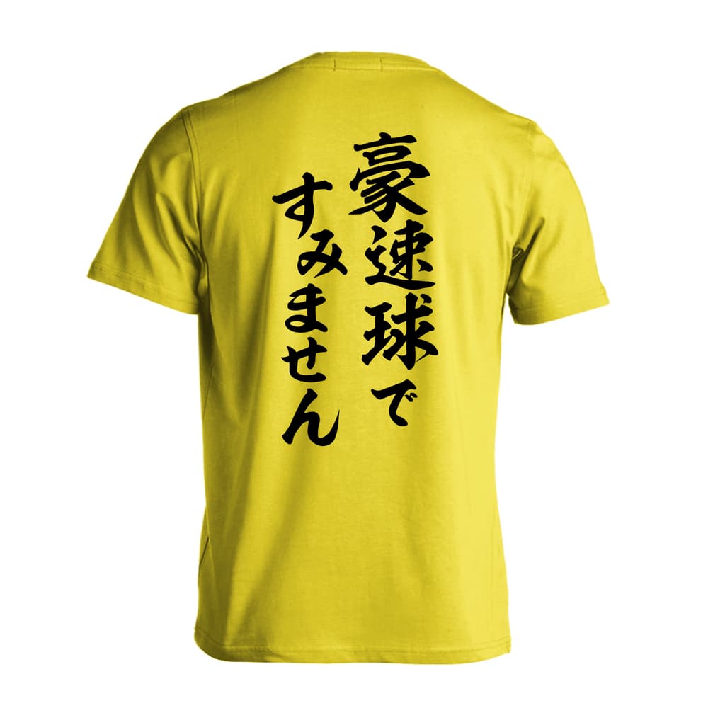 野球 豪速球ですみません 吸水速乾ドライTシャツ