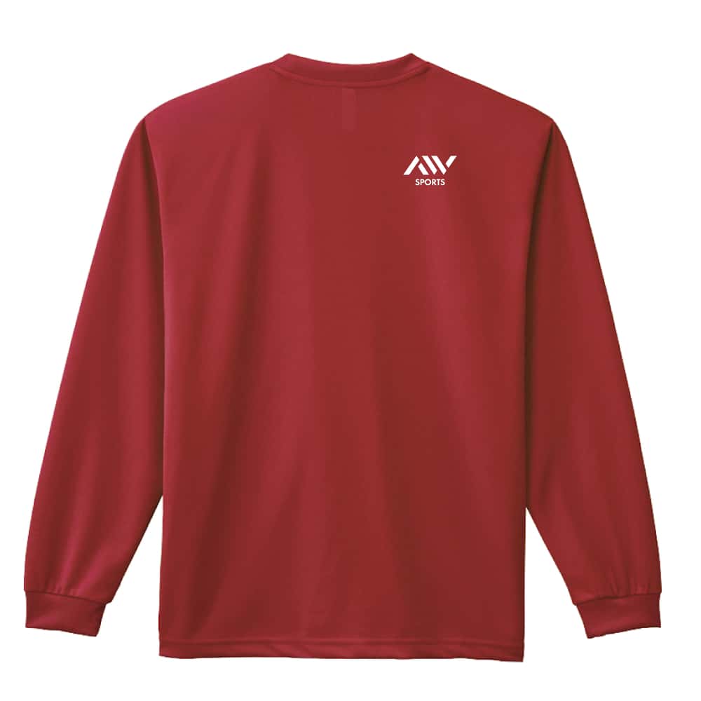 ハンドボール ネコたちのハンドボール 吸水速乾ドライロングTシャツ 背面デザイン