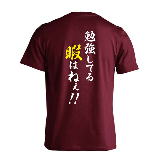 勉強してる暇はねぇ！ 吸水速乾ドライTシャツ