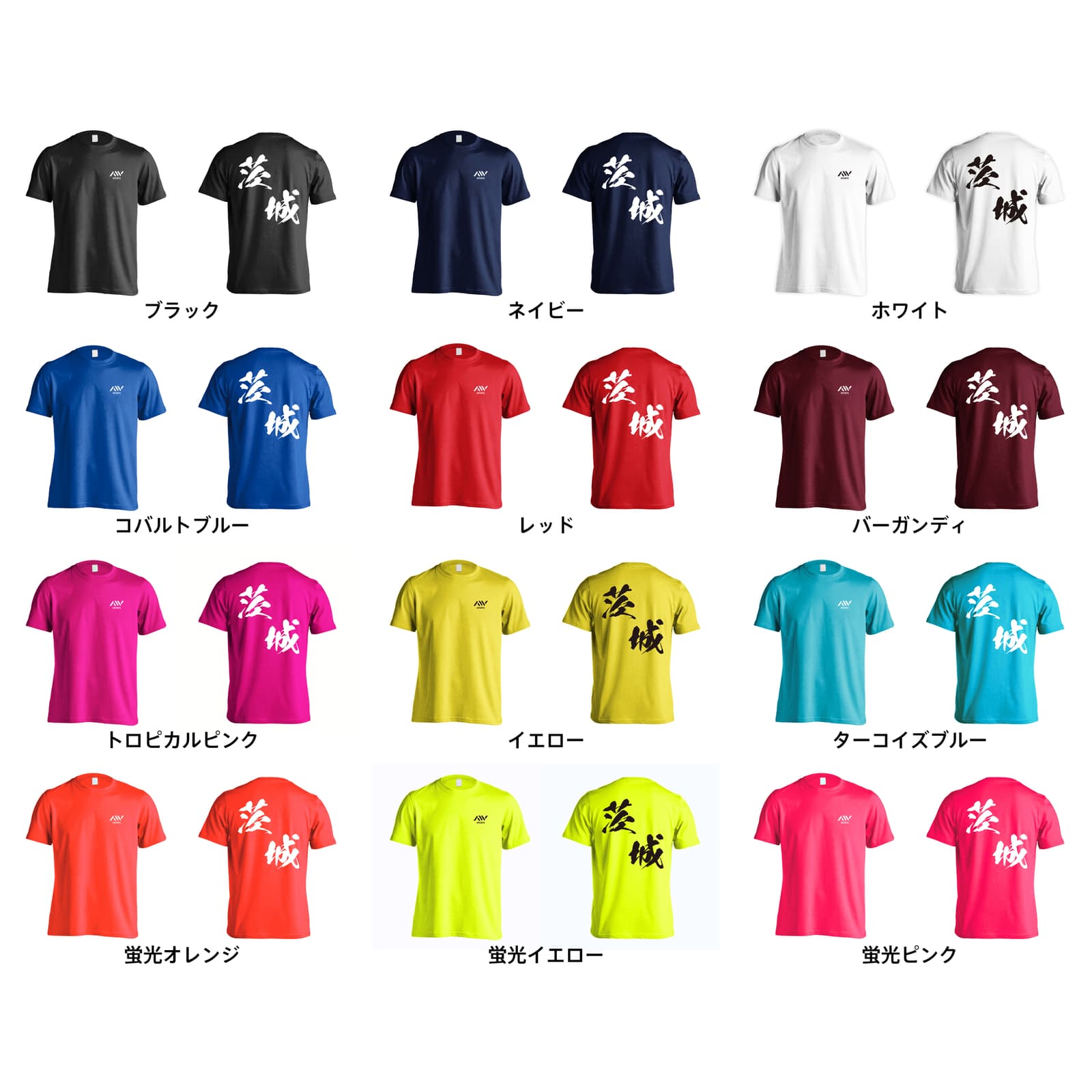 ドライTシャツ｜都道府県デザイン 茨城 闘龍書体 斜め書き｜ARTWORKS