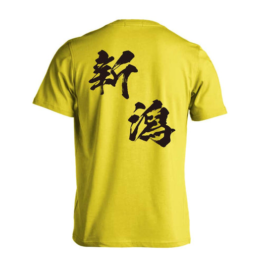 都道府県デザイン 新潟 闘龍書体 斜め書き 吸水速乾ドライTシャツ