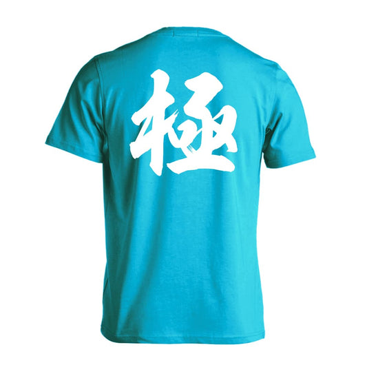 武道・格闘技 極 新雲龍書体 吸水速乾ドライTシャツ
