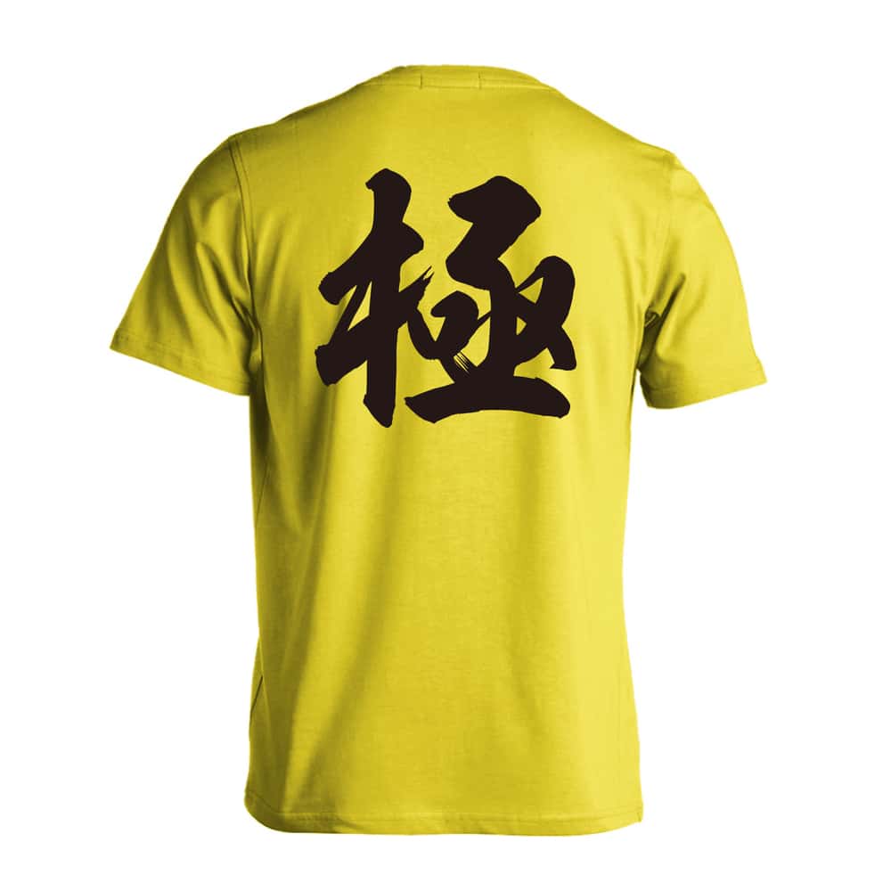 武道・格闘技 極 新雲龍書体 吸水速乾ドライTシャツ