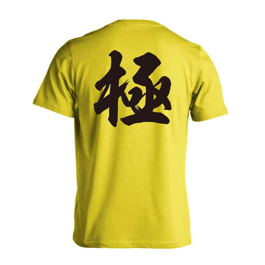 武道・格闘技 極 新雲龍書体 吸水速乾ドライTシャツ
