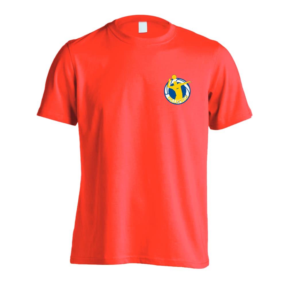 バレーボール アタックフォーム エンブレム 吸水速乾ドライTシャツ