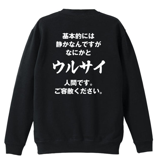 背面デザイン